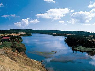 Hachiman Marsh, Towada-Hachimantai National Park