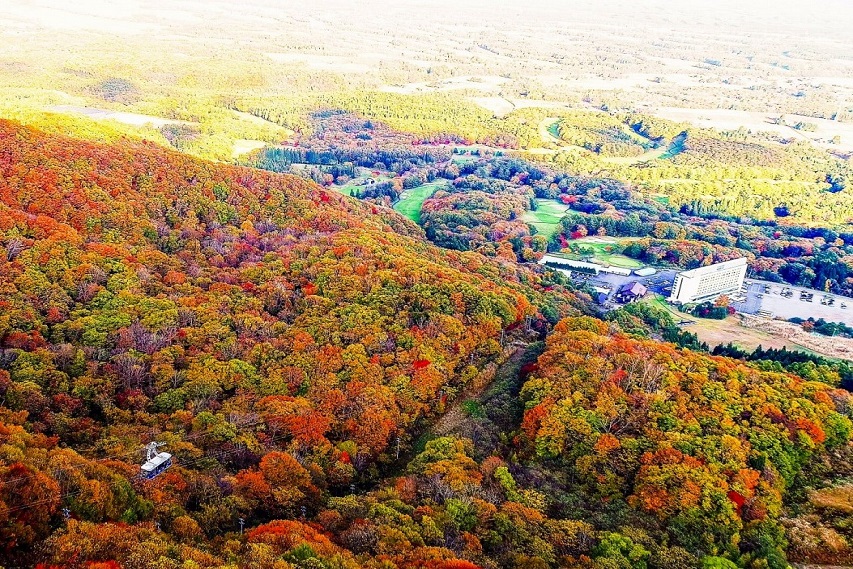 Autumn Ropeway