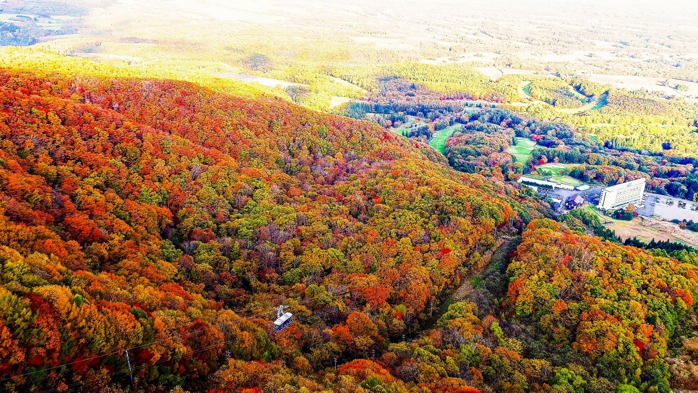 Maple Ropeway