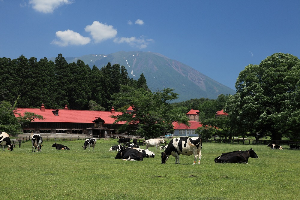 2024 Shuttle Bus for KOIWAI FARM