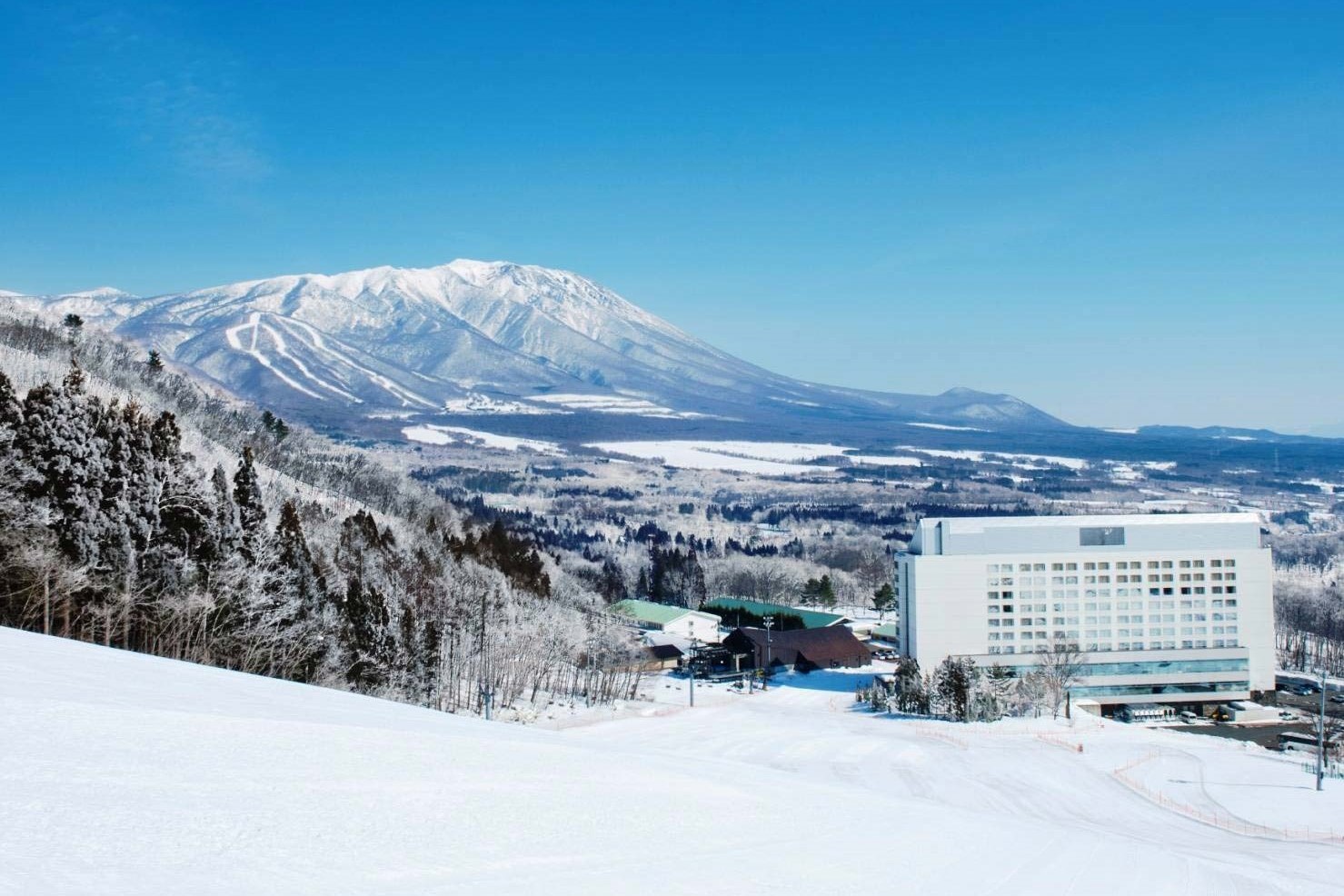 [Website Exclusive] PrinceHotels Limited-Timesale (Room Only)