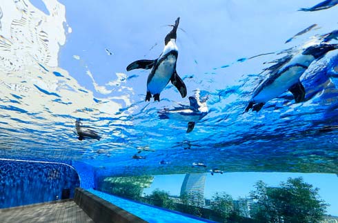 Sunshine國際水族館