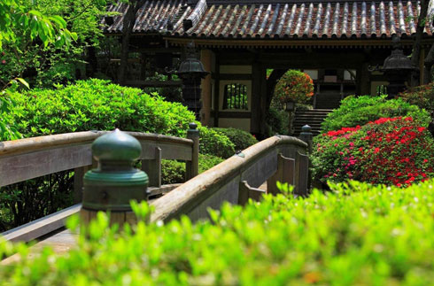 Japanese garden