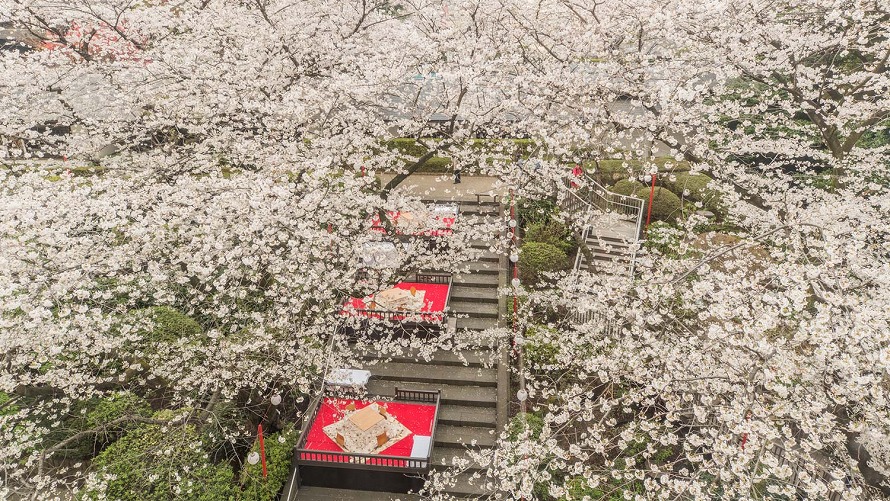 Spring Time Culinary Offers