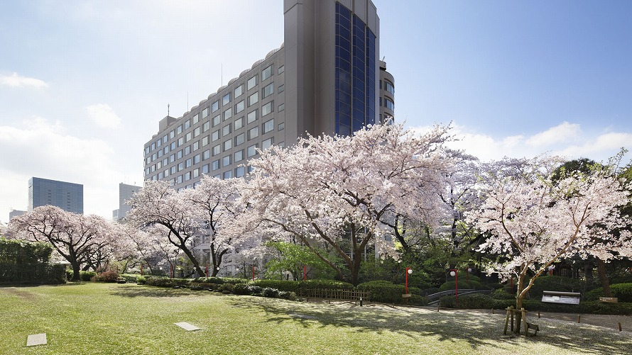 sakuratower_1504_007trimed