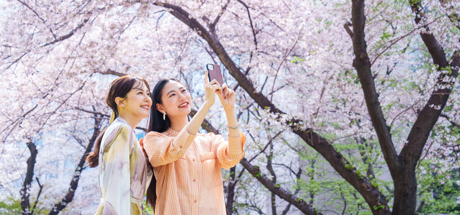 〈SAKURA MATSURI 2024〉Spring Instagram Campaign