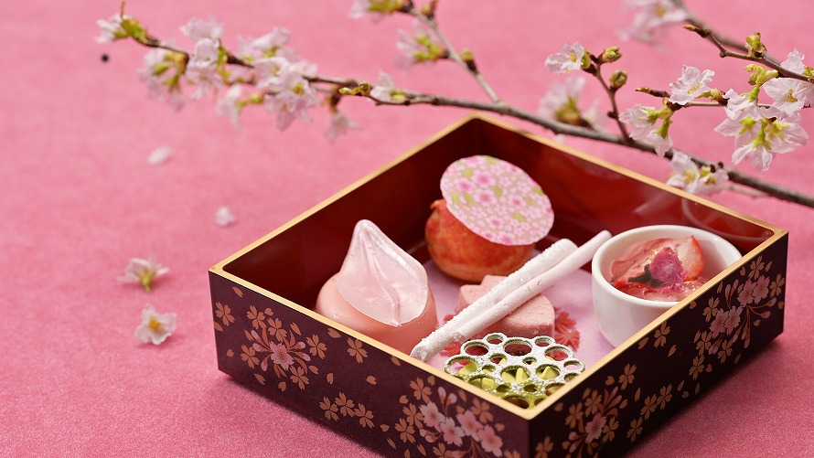 res_komyo_2025_sakura_2