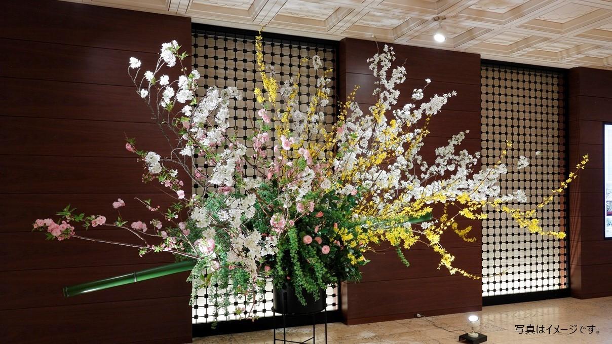 【Sakura Matsuri 2025】Japanese Tea Room × Ikebana Gallery