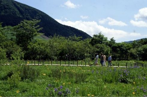 箱根濕地花園