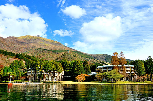 Early bird discount: Save with 30-day advance booking