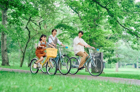 骑自行车去观光吧！