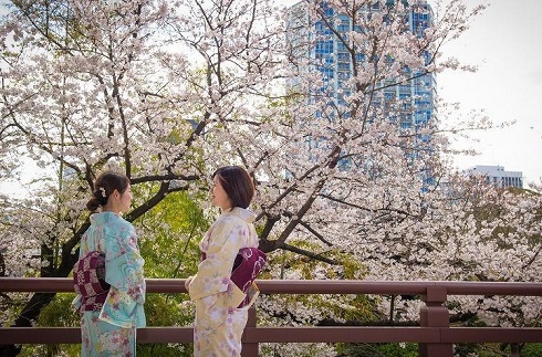 Spring Kimono Stay