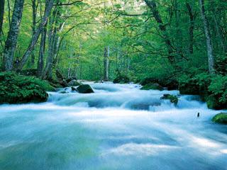 Oirase Mountain Stream