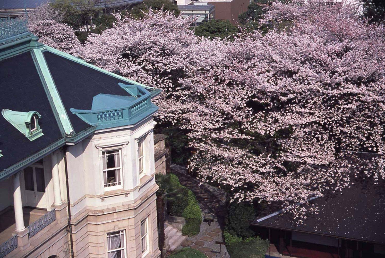 takanawa-spring-image1