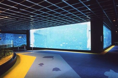 《箱根园》箱根园水族馆