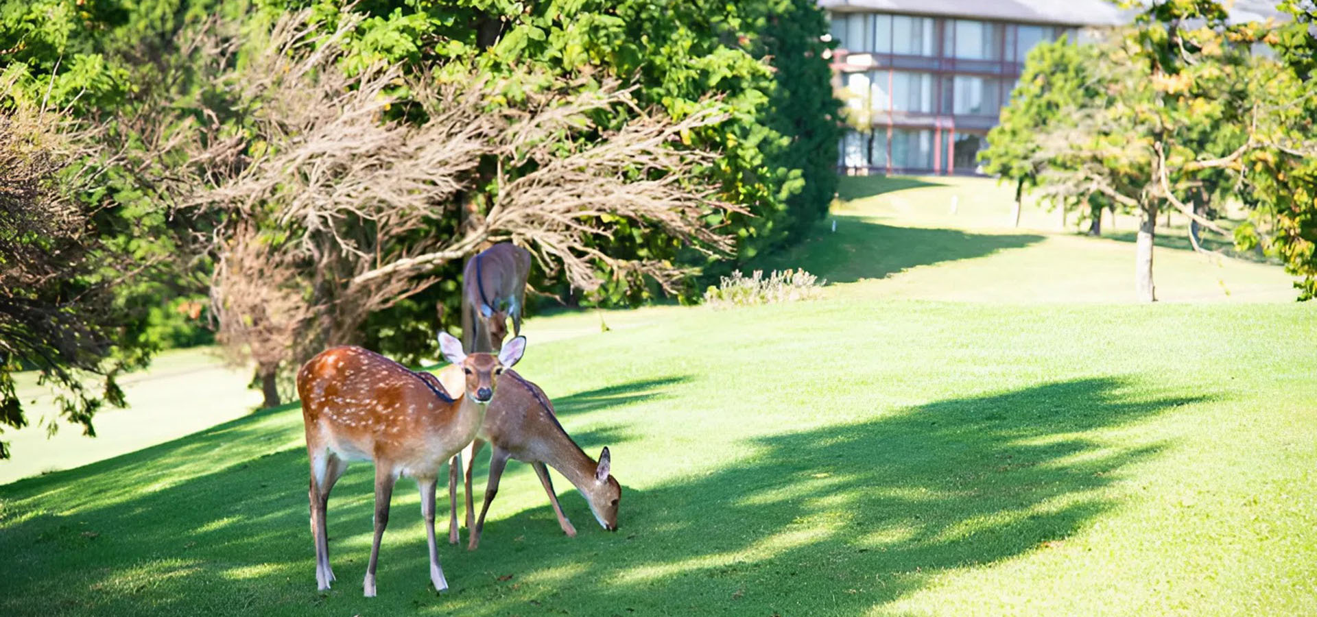 (株)YUNOHANA Hakone Yunohana Prince Hotel - Official website