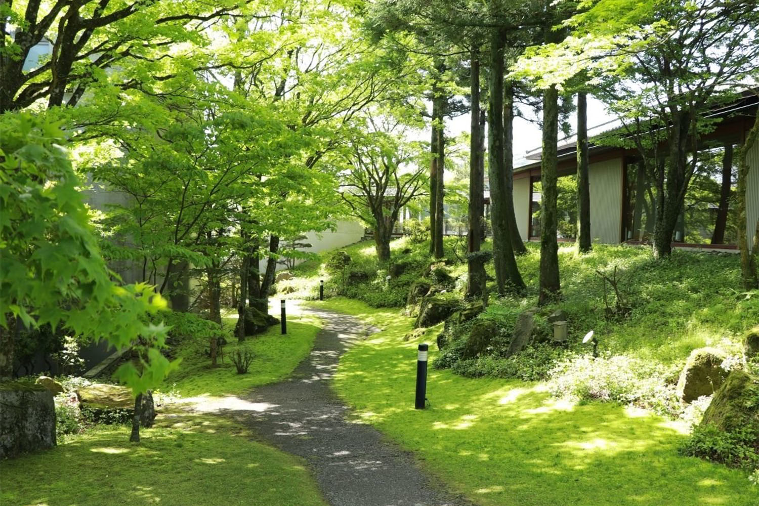 【春～夏】新緑が美しい季節