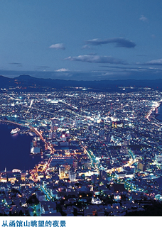 从函馆山眺望的夜景