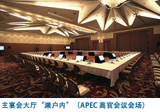 主宴会大厅“濑户内”(APEC 高官会议会场)