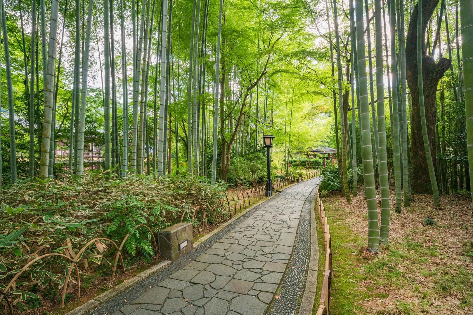 两天一夜伊豆自驾旅游攻略!情侣旅游推荐行程