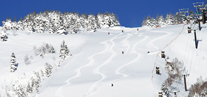 Shiga Kogen Yakebitaiyama Nagano