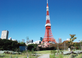 芝公園