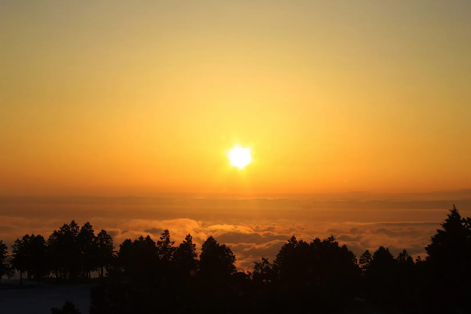  頂層客房