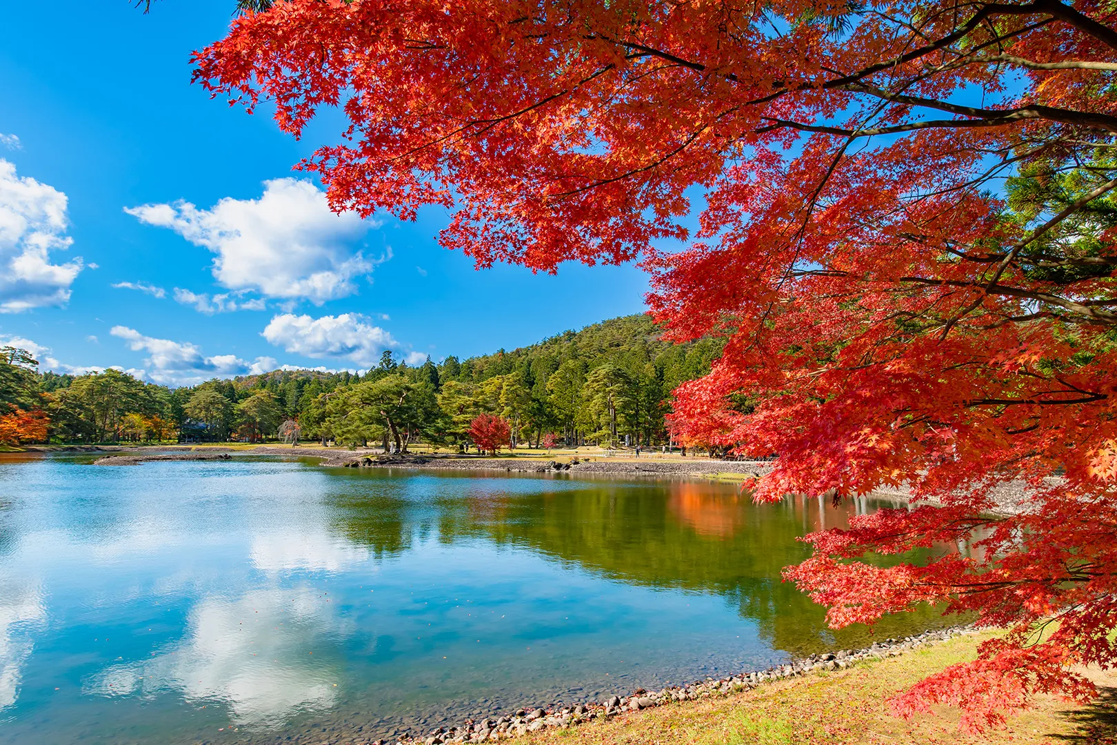毛越寺