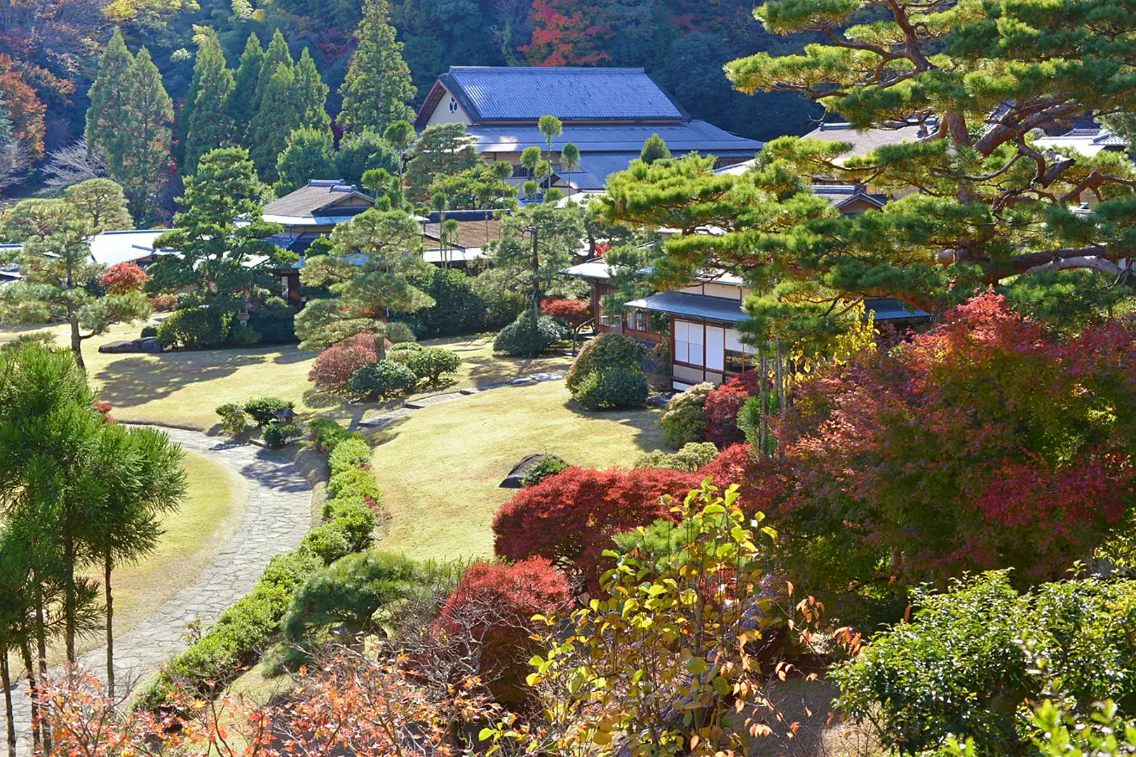新しい桜の名所