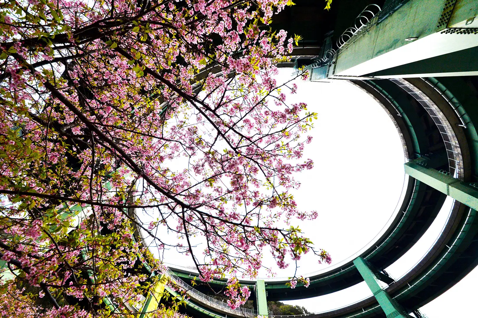 河津七瀑环状桥