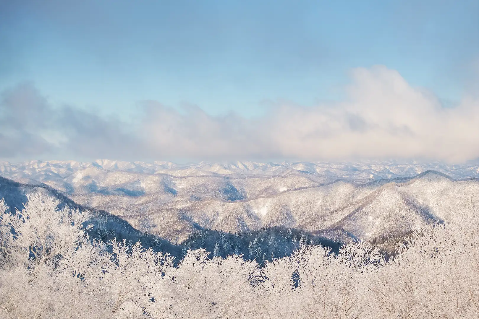 ホテルを取り巻く自然