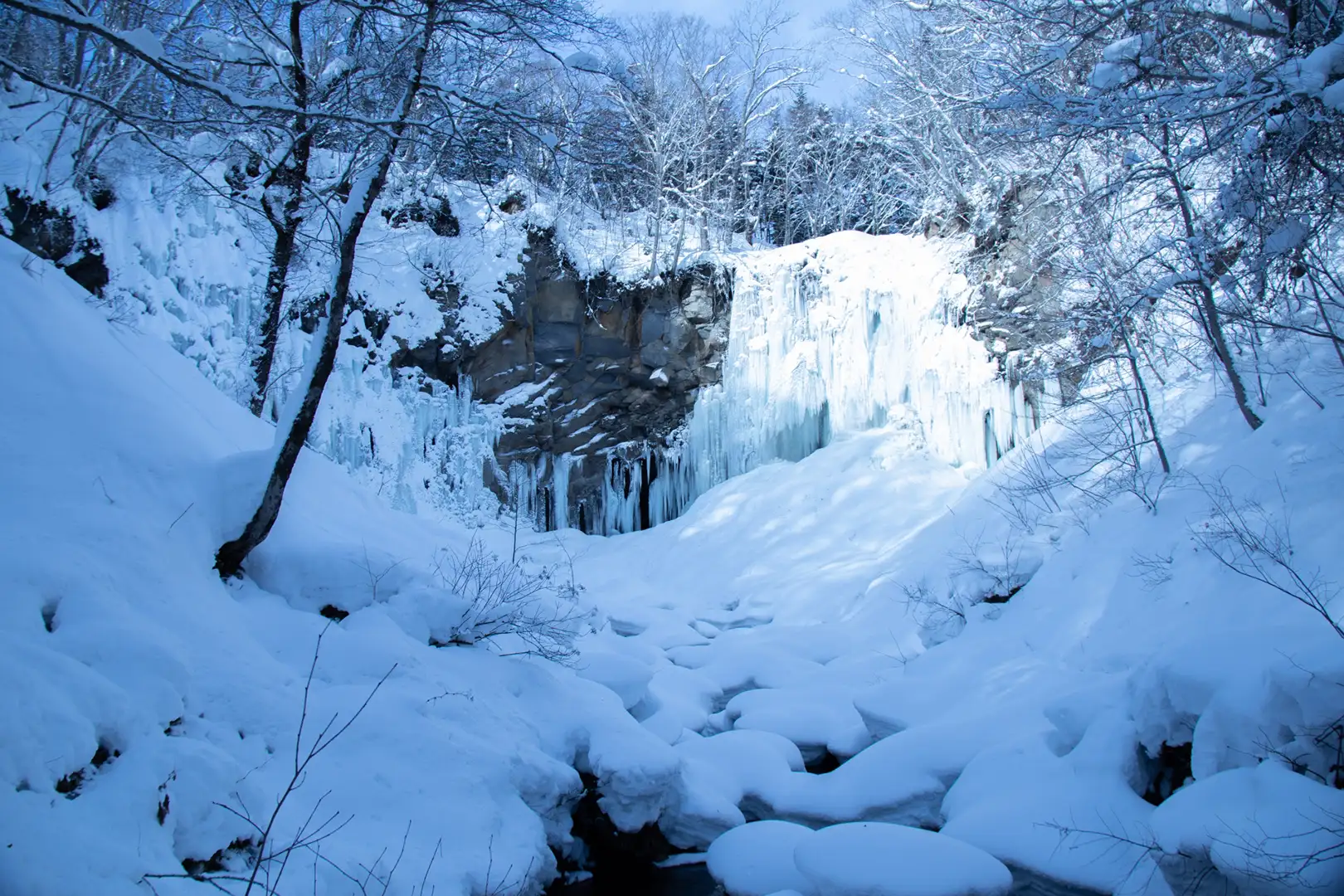 瀧野鈴蘭丘陵公園