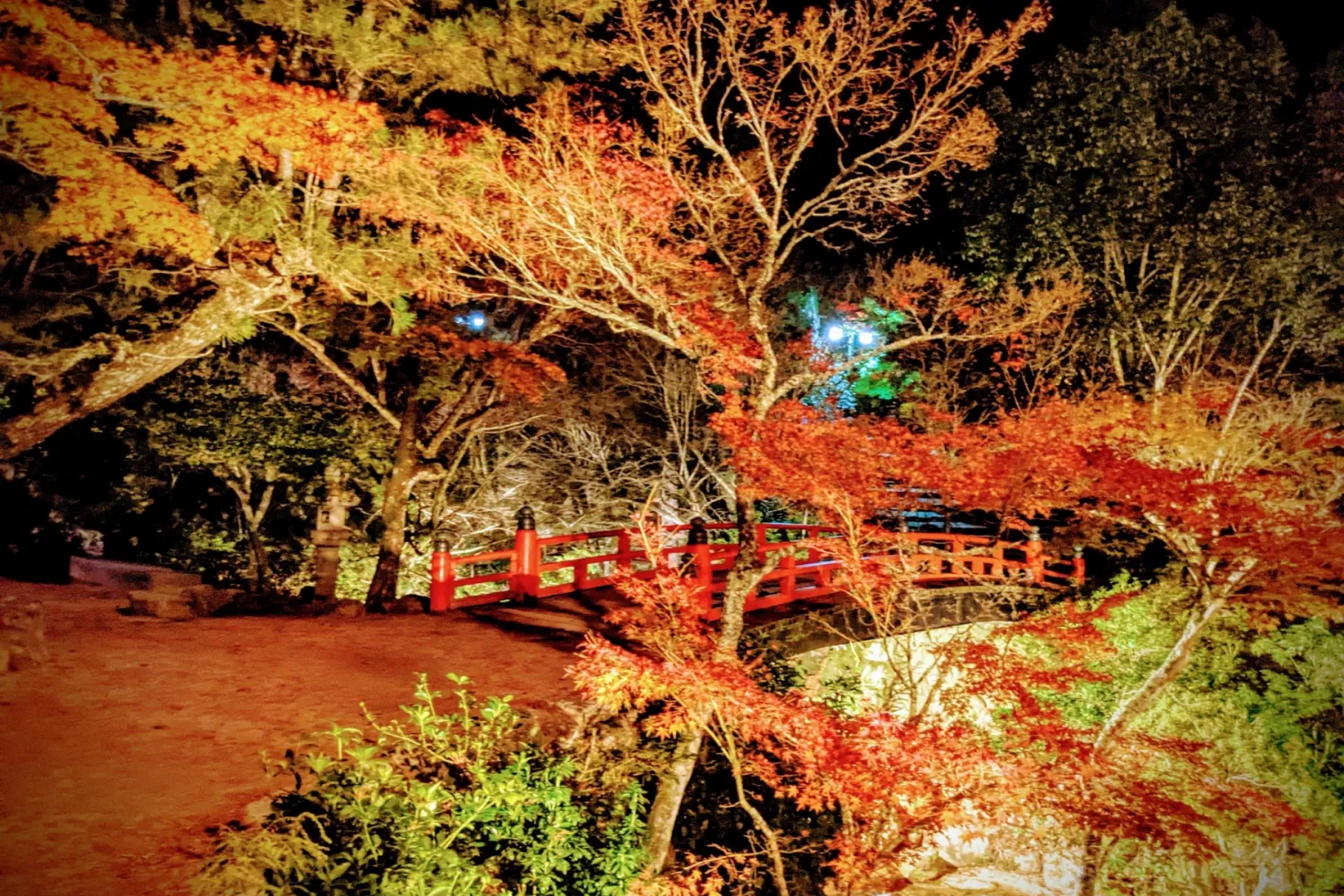 宮島紅葉谷公園燈光與秋葉交相輝映，呈現出令人意想不到的奇妙景象