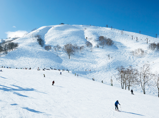 苗場山滑雪度假中心02